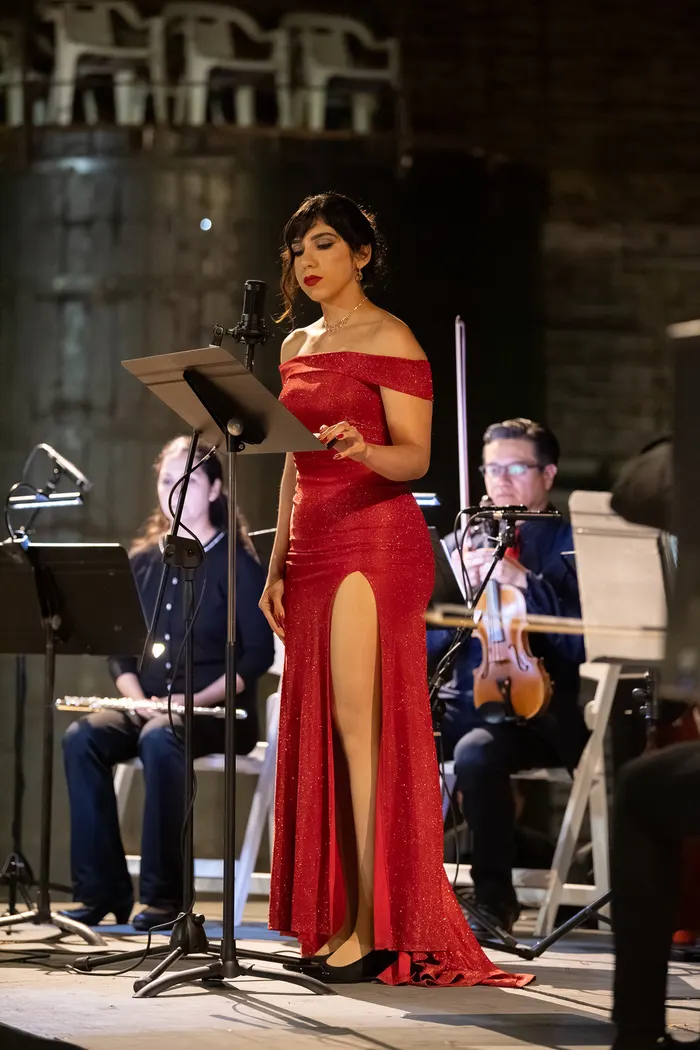Fotografía 3 del concierto